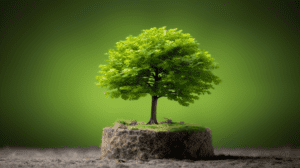 young tree, symbolic of personal growth and development